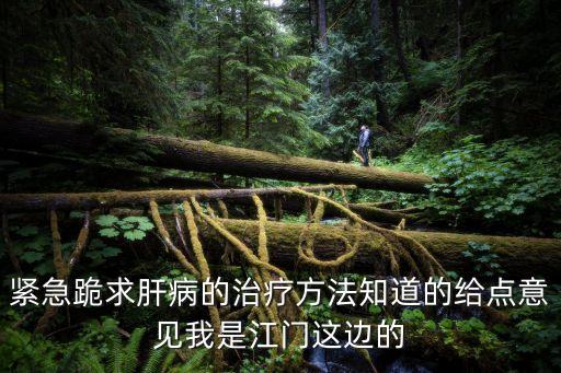 怎么治肝，緊急跪求肝病的治療方法知道的給點(diǎn)意見我是江門這邊的