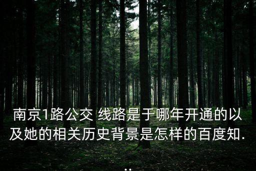 黃金線路,發(fā)貨黃金到北歐城市?南京公交1號線一直走南北線