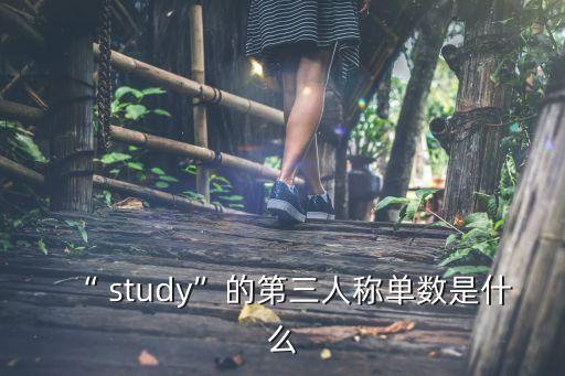 study的三單,【游戲)→play名詞復數規則出爐!