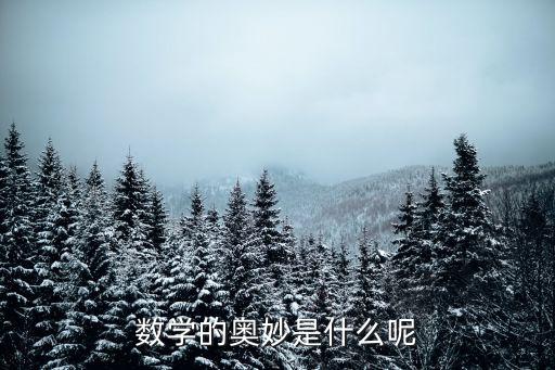 數學的奧妙，數學有什么奧秘