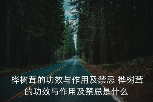 樺樹茸的功效與作用