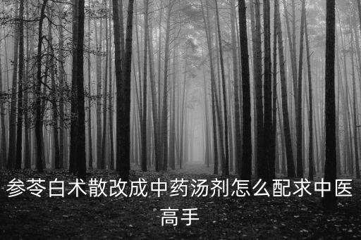 參苓白術(shù)散改成中藥湯劑怎么配求中醫(yī)高手
