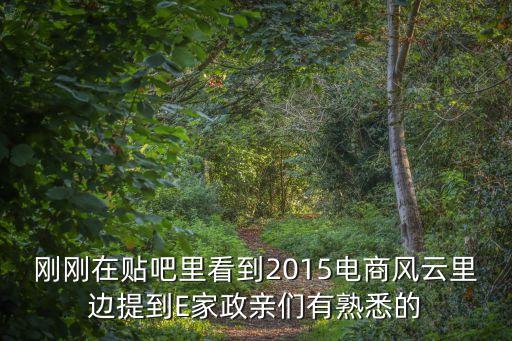 電商風云，電商風云人物是那些
