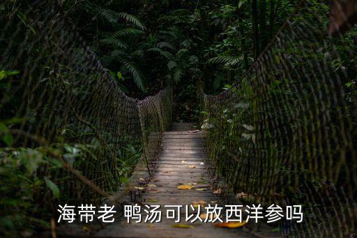 海帶老鴨湯,這道老鴨湯有沒有你吃過?
