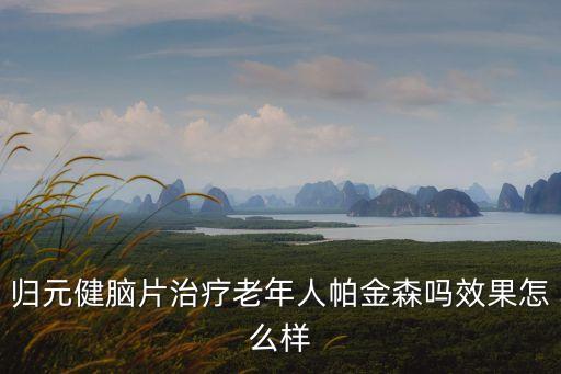 歸元健腦片，尊敬的醫(yī)師您好請(qǐng)問一下歸元健腦片是否好用