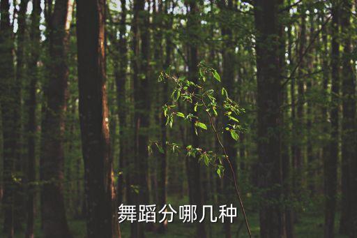 舞蹈分哪幾種