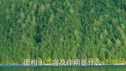 面相十二宮及作用是什么