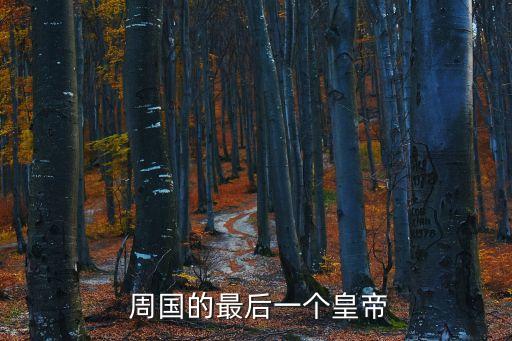  周國的最后一個皇帝