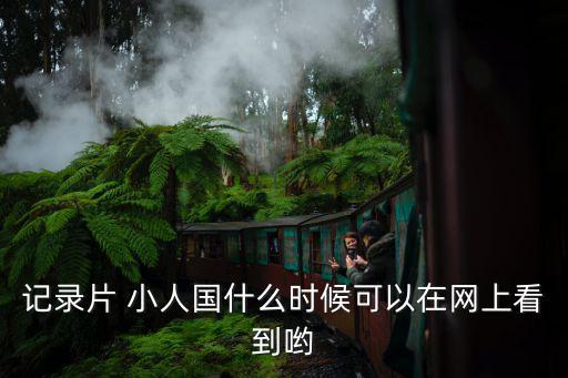 小人國紀錄片，記錄片 小人國什么時候可以在網上看到喲