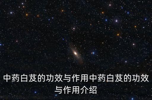 中藥白芨的功效與作用中藥白芨的功效與作用介紹