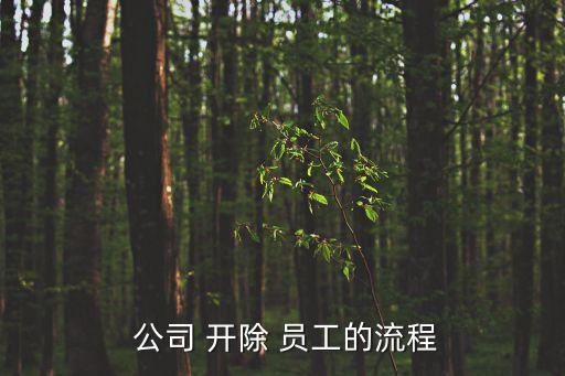 公司開除員工,如何開除員工?