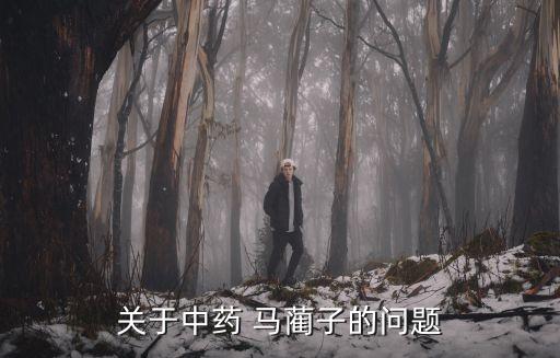 馬藺子,屬多年生草本植物根可做刷子馬藺子是鳶尾種子