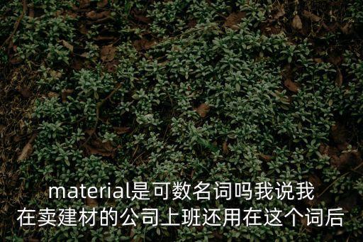 material是可數(shù)名詞嗎我說我在賣建材的公司上班還用在這個詞后