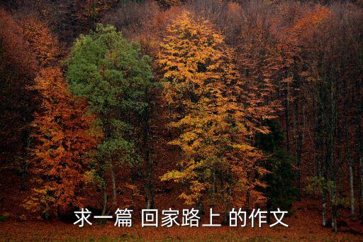 回家的路上作文，求一篇 回家路上 的作文