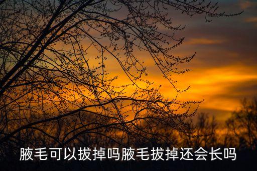 腋毛可以拔掉嗎，人身上有五種毛不能隨便拔 越拔越不健康 請別再手欠