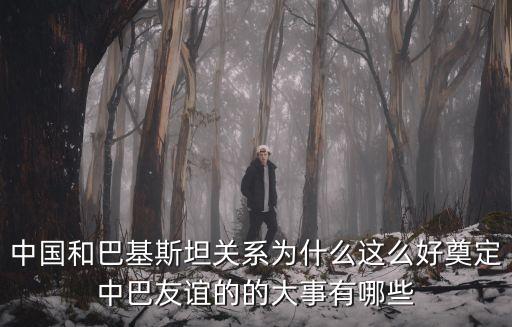中國和巴基斯坦關(guān)系為什么這么好奠定中巴友誼的的大事有哪些