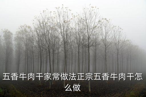 五香牛肉干家常做法正宗五香牛肉干怎么做