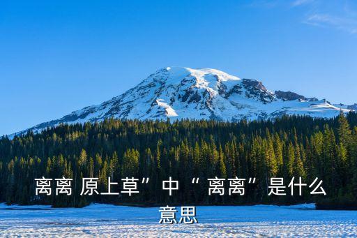 離離原上草的意思