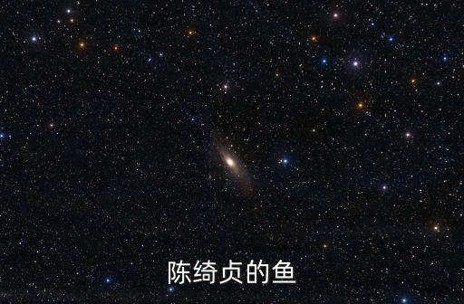 陳綺貞的魚