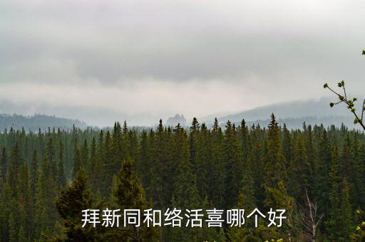  拜新同和絡活喜哪個好