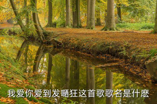 愛到你發(fā)狂，我愛你愛到發(fā)嗮狂這首歌歌名是什麼