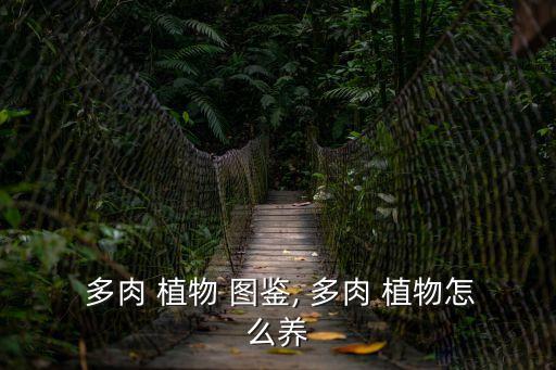 多肉植物圖鑒,本書(shū)精選700種多肉植物