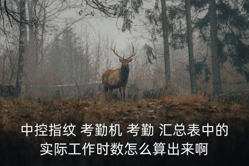 中控指紋 考勤機 考勤 匯總表中的實際工作時數怎么算出來啊