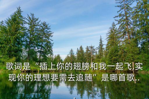 讓夢飛翔,快樂c生活有你有我的感覺
