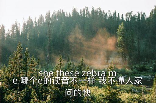 she these zebra me 哪個e的讀音不一樣 我不懂人家問的快