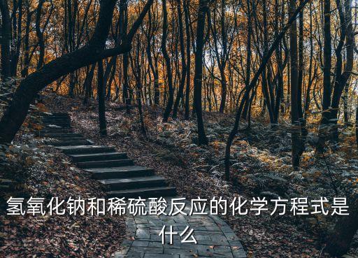 氫氧化鈉和稀硫酸反應的化學方程式是什么