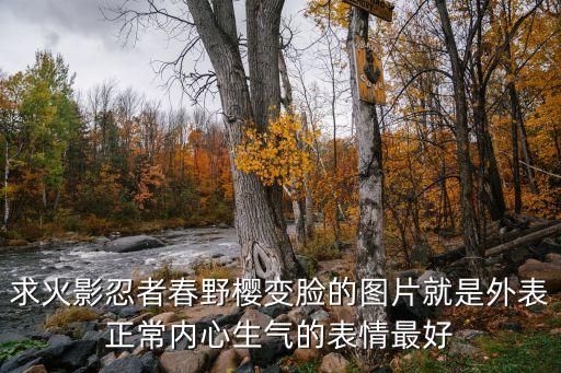 求火影忍者春野櫻變臉的圖片就是外表正常內(nèi)心生氣的表情最好
