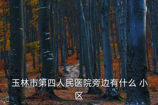 玉林小區,玉林市公務員小區由南山萬隆房地產開發公司建設