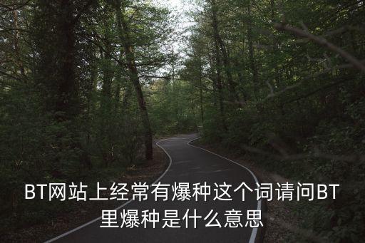 BT網站上經常有爆種這個詞請問BT里爆種是什么意思