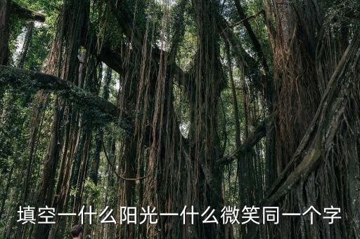 填空一什么陽光一什么微笑同一個字