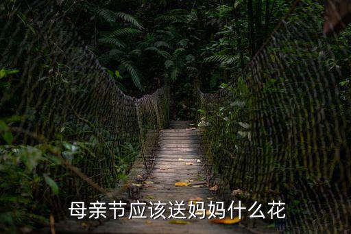  母親節應該送媽媽什么花