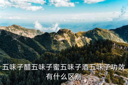 五味子醋五味子蜜五味子酒五味子功效有什么區(qū)別