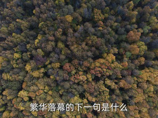 繁華落幕的下一句是什么