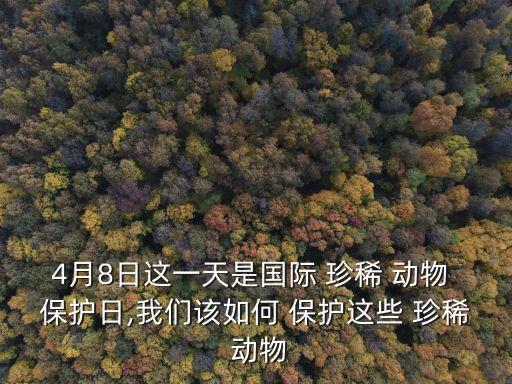 保護珍稀動物,國家保護動物名錄:丹頂鶴保護棲息地