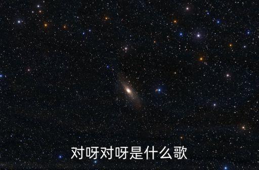 對呀對呀，對呀對呀對呀是哪首歌里的詞