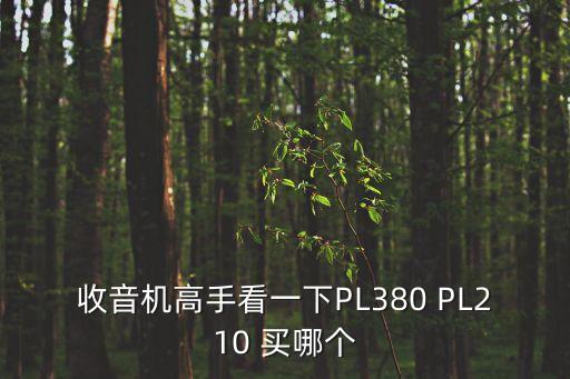 收音機高手看一下PL380 PL210 買哪個