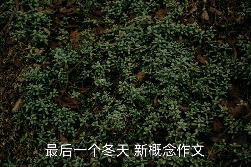 最后一個(gè)冬天 新概念作文