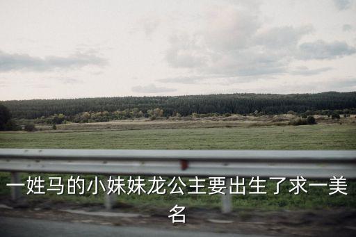 一姓馬的小妹妹龍公主要出生了求一美名