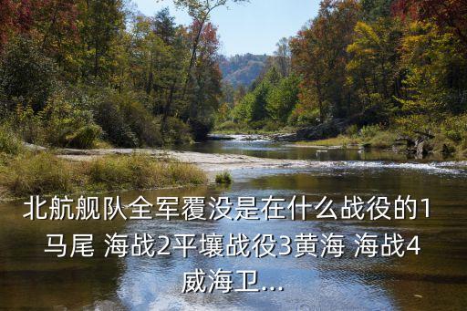 馬尾海戰,福建馬尾海戰中日水師全軍覆沒