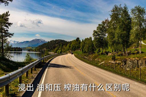 浸出油和壓榨油哪個好,壓榨榨油有何來頭?