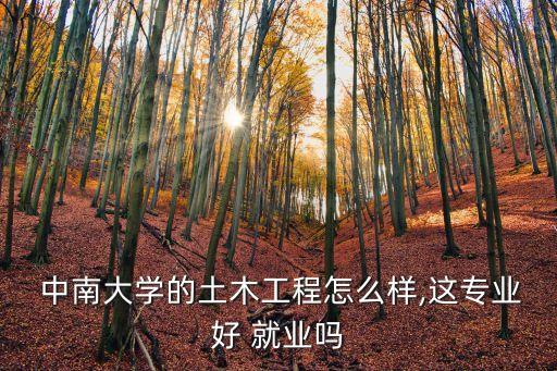 中南大學就業,中南大學土木工程專業畢業生總數為103人
