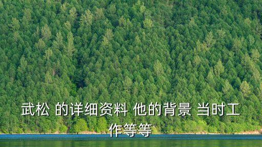 武松 的詳細(xì)資料 他的背景 當(dāng)時工作等等