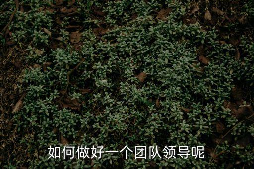 如何做好一個團隊領導呢