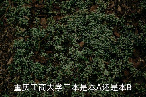 重慶工商大學是一本還是二本，重慶工商大學二本是本A還是本B