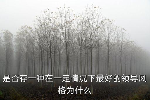 領導風格，是否存一種在一定情況下最好的領導風格為什么
