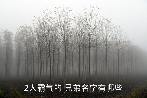 兄弟網名2人高冷,命名注意事項:這輩子有你,兄弟此生不離